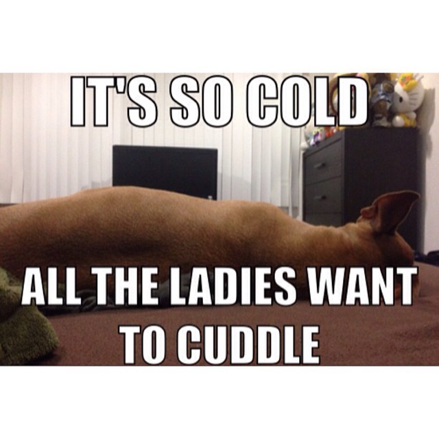 #Cuddlytime free #heater #warmerblanket