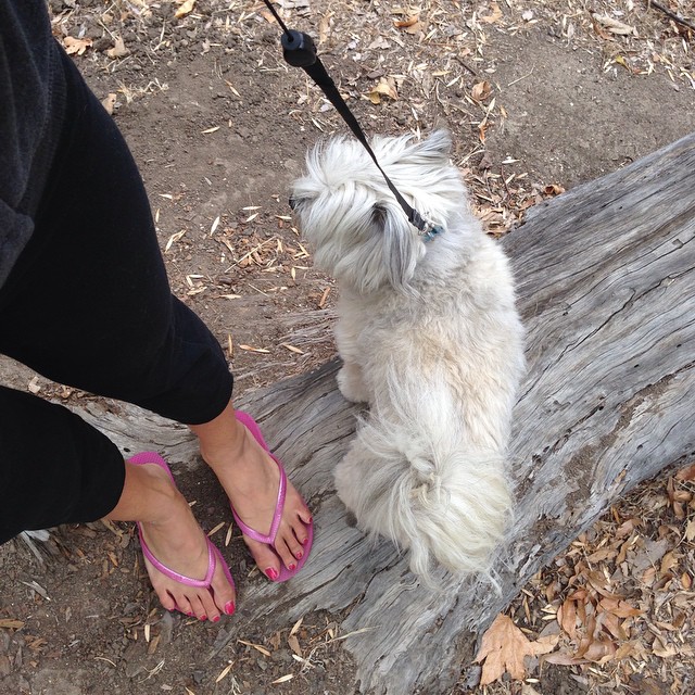The right gear to go hiking or walk through a park! #sandals #dog