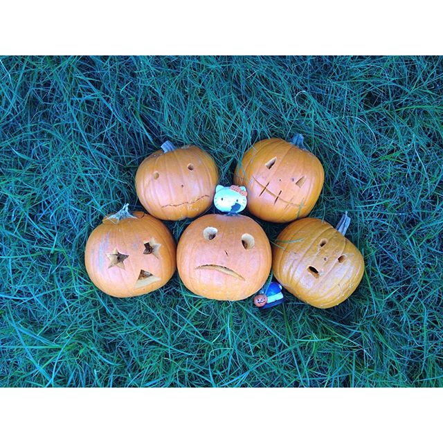 #pumpkins  with #halloween  appropriate facial expressions and because the cute ones from last week got all molded and fly infested!