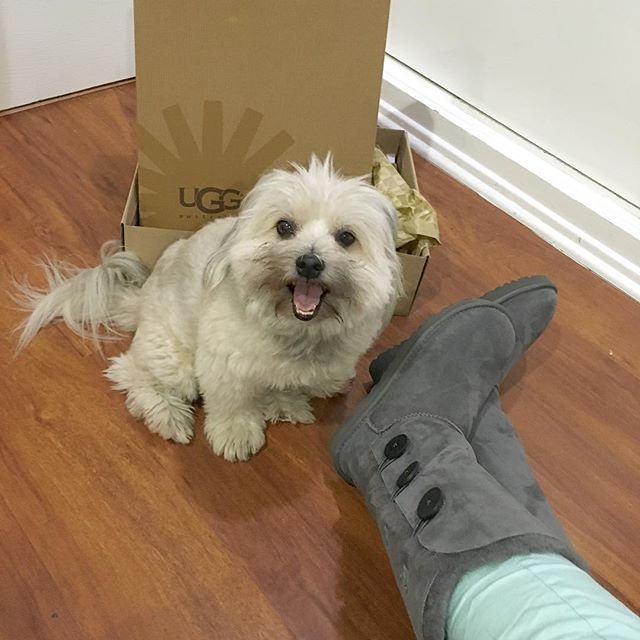 When the boyfriends gets you UGG #boots  that match your #dog  Can we go to the snow now?? ☃️ @swayray